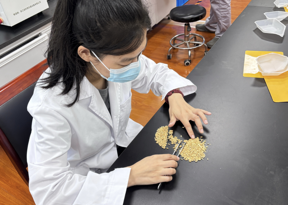 2aafaf7eb3ee2ffbe902f0e966882b2.png 2aafaf7eb3ee2ffbe902f0e966882b2.png